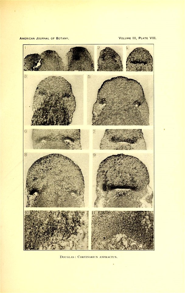 n362_w1150