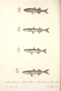 n349_w1150