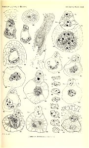 n528_w1150
