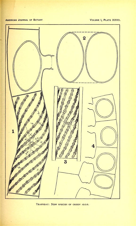 n396_w1150
