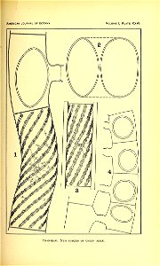 n396_w1150