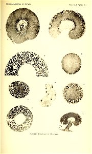 n194_w1150