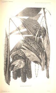 n105_w1150