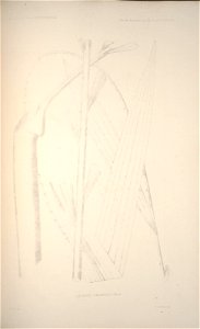 n215_w1150