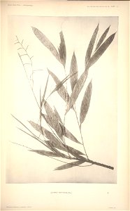 n155_w1150