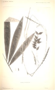 n85_w1150