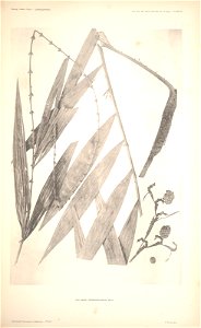 n55_w1150