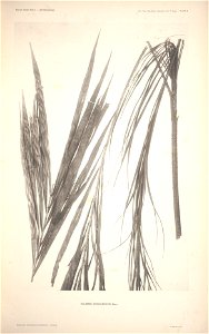 n10_w1150