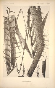 n169_w1150
