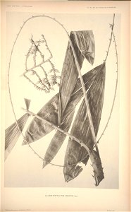 n154_w1150
