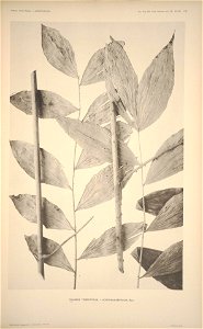 n139_w1150
