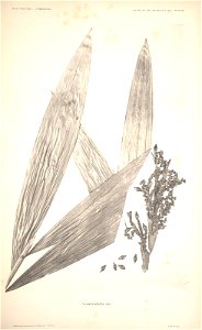 n54_w1150