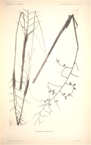 n9_w1150
