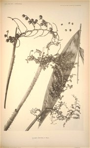 n213_w1150