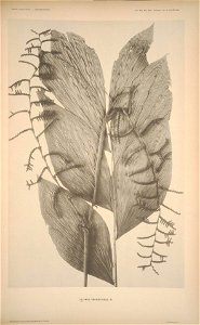 n138_w1150