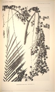 n105_w1150