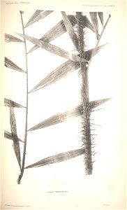 n83_w1150