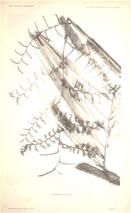 n68_w1150