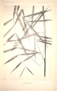 n8_w1150