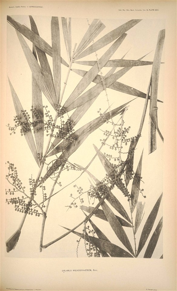 n211_w1150