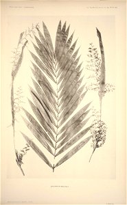 n120_w1150