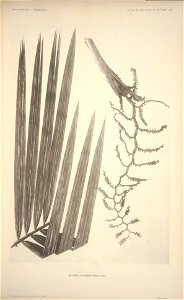 n105_w1150