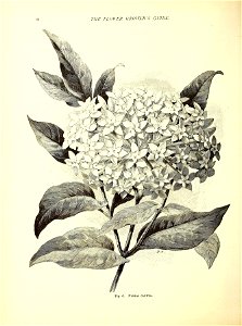 n35_w1150