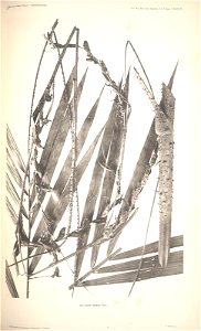 n79_w1150