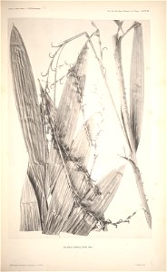 n34_w1150