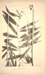 n148_w1150