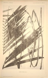 n118_w1150