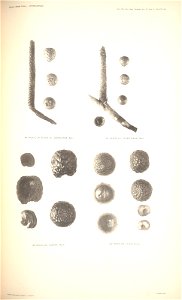 n111_w1150