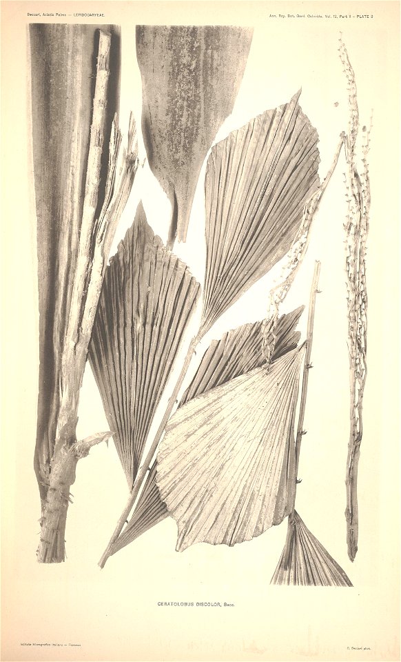 n6_w1150