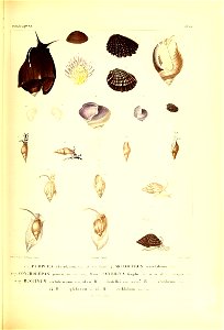 n362_w1150