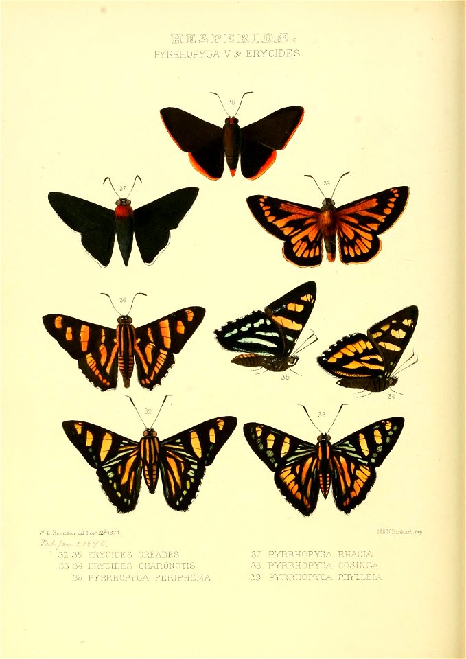 n175_w1150