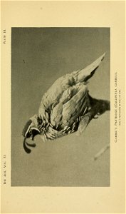 n162_w1150
