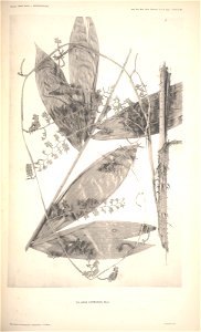 n87_w1150