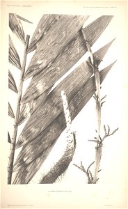 n57_w1150