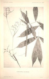 n12_w1150