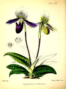 n345_w1150