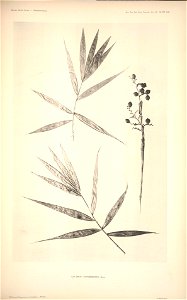 n152_w1150