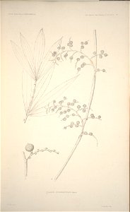 n107_w1150