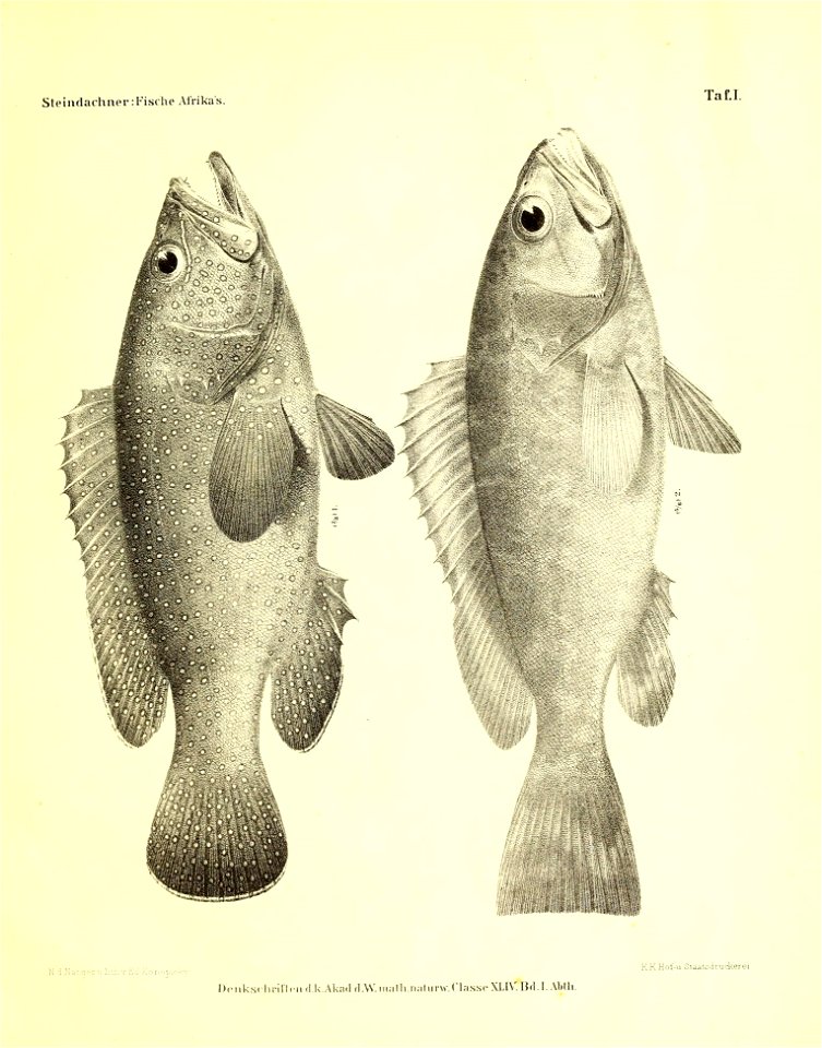 n46_w1150