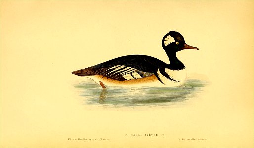 n280_w1150