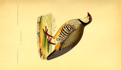 n62_w1150