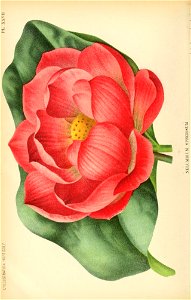 n57_w1150