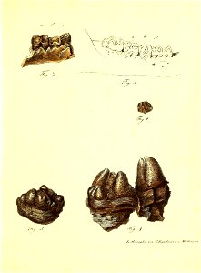 n122_w1150