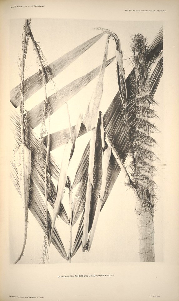 n69_w1150