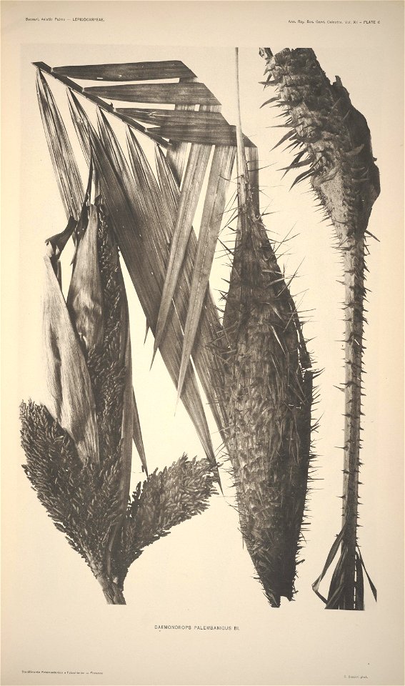 n9_w1150