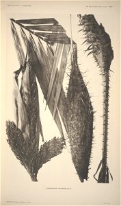 n9_w1150